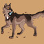 CasualDog