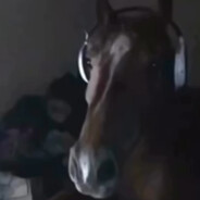 юрик avatar