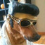 FEDEO MOLITALIA
