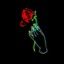 Roses are Red