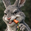 Bogs_Bunny