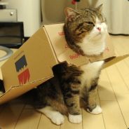 jaseyp123 - steam id 76561197963263139