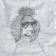 Hoodle's Avatar