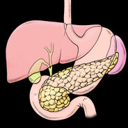 Pancreas
