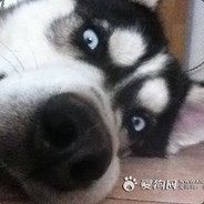 有些人走着走着就死了.