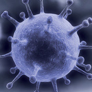 КОРОНАВИРУС 228 -_-