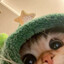 hik
