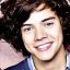 harry styles