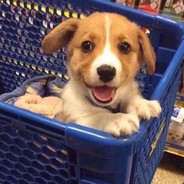 是兄弟就来砍我吧