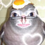 Garret The Birb
