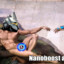 Nose Breather's avatar