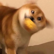 电脑玩家纠结伦