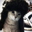 Edrowdy's avatar
