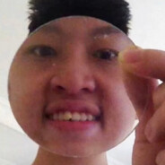 虫需云力白勺虫且