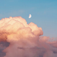 纯情鸭头火辣辣