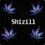 Shizi11