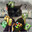 папа ларго