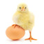 A82fab308eeec3874dbff8e548298c3ed84a52fe medium