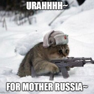 Russian cat