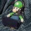 Luigi gaming