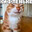 hilsongworsh