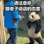 果断就会白给