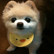 我会躺你能负责赢吗