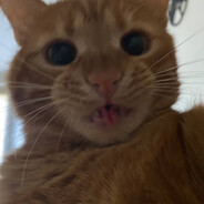 w.