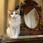 ЕБАЛ ТВОЙ РОТ