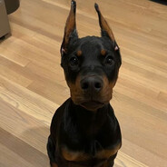 KoWkA avatar