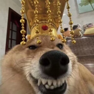 理塘最強伝説と絕兇の猛虎！純真丁一郎です