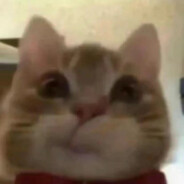 满山猴子我腚最红