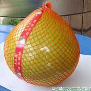 Pomelo