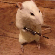 RatWitDaToolie