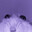 rat