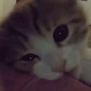 Леша Голоша