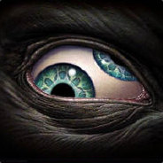 Koil - steam id 76561197963205337