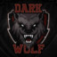 dkwolf24