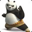 dont mess with kung fu bear