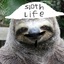 Sloth life