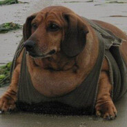 Бiшiнiя бiндiра