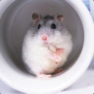 _小楼一夜听春雨_