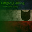 Kattgod_Gaming.