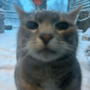 огэ будапешт