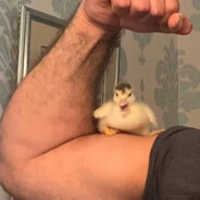 猛踹瘸子那条好腿