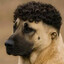 Steam avatar