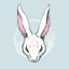 Bunny \o/