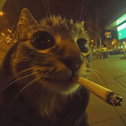 Lapee's avatar