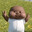 Clive
