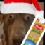 Surprised Dog Santa with EggNog